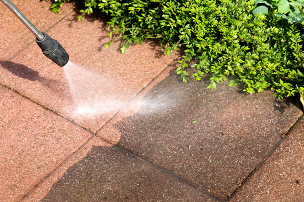 Best Pressure Washing Company Near Me  in Brundidge, AL